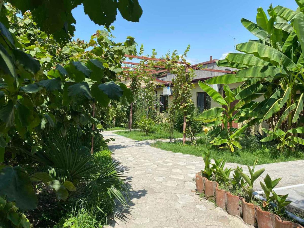 Hotel Villa Eniseli Extérieur photo